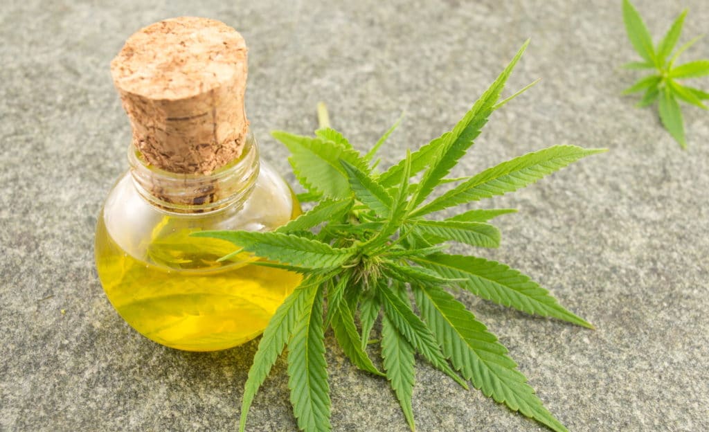 Cannabisolie